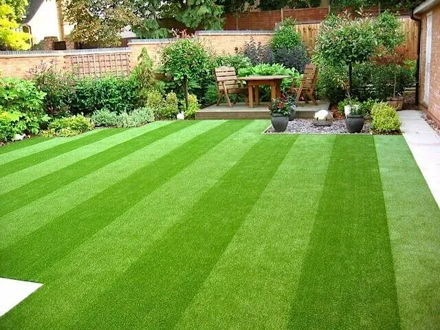 chicago-great-lawn